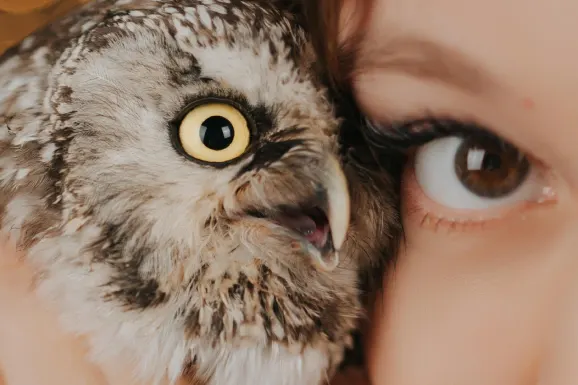 Casino Lucky 31 Assistance